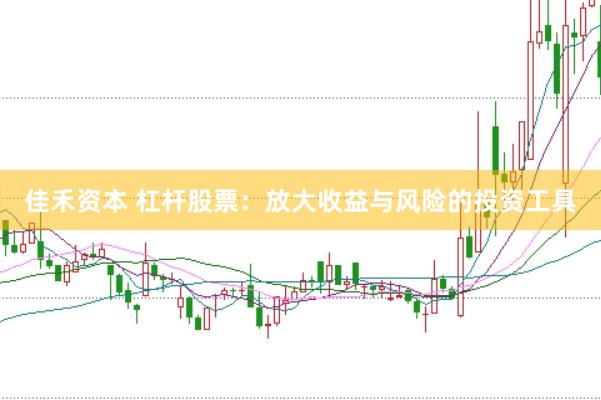 佳禾资本 杠杆股票：放大收益与风险的投资工具