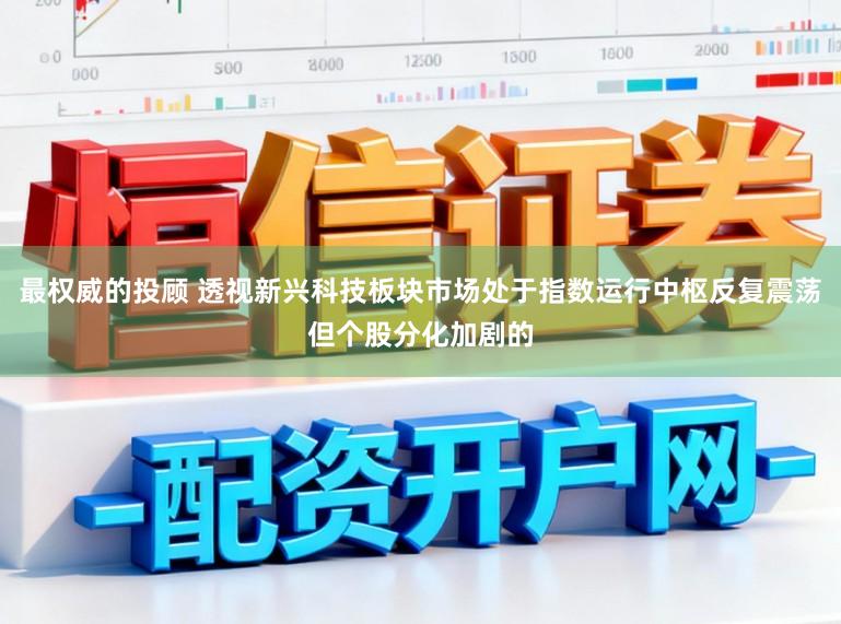 最权威的投顾 透视新兴科技板块市场处于指数运行中枢反复震荡但个股分化加剧的