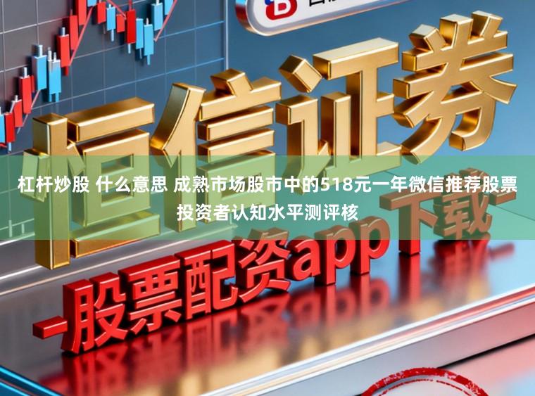 杠杆炒股 什么意思 成熟市场股市中的518元一年微信推荐股票投资者认知水平测评核